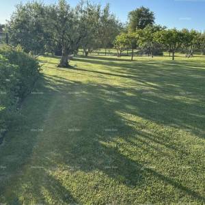 Lovrečica – građevinsko zemljište 591 m², samo 60 m od mora