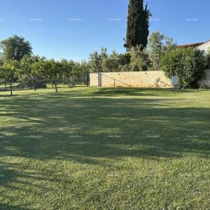 Lovrečica – građevinsko zemljište 591 m², samo 60 m od mora