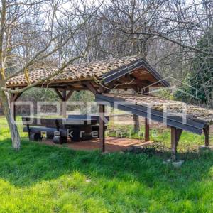 MASLINIK U PETROVIJI 5.437 m² – 140 MASLINA, VODA I NADSTREŠNICA – 4 KM OD UMAGA