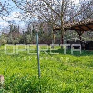 MASLINIK U PETROVIJI 5.437 m² – 140 MASLINA, VODA I NADSTREŠNICA – 4 KM OD UMAGA