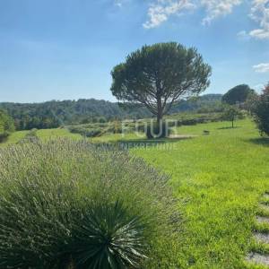 Najam, Istra, Lupoglav - okolica, samostojeća prizemnica