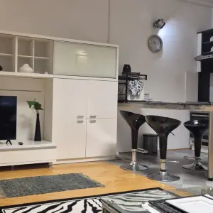 Namješteni jednosobni stan s dnevnim boravkom (iznajmljivanje)