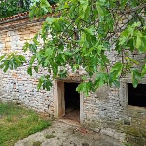 PAZIN,BERAM - Gospodarska zgrada 58m2 sa okućnicom