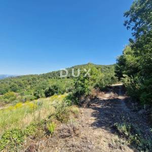 Pelješac, Popova luka, poljoprivredno zemljište 190.000m²