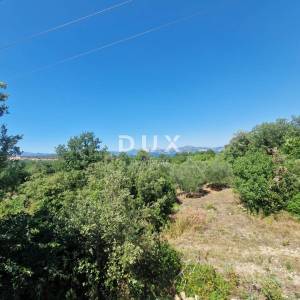 Pelješac, Popova luka, poljoprivredno zemljište 190.000m²