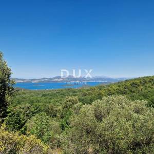 Pelješac, Popova luka, poljoprivredno zemljište 190.000m²
