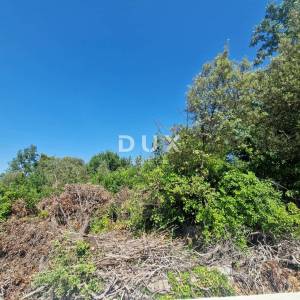 Pelješac, Popova luka, poljoprivredno zemljište 190.000m²