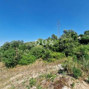 Pelješac, Popova luka, poljoprivredno zemljište 190.000m²