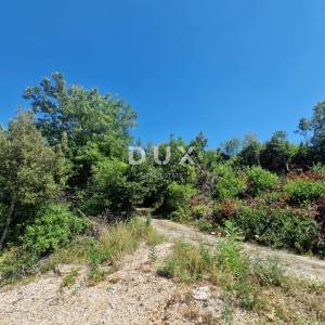 Pelješac, Popova luka, poljoprivredno zemljište 190.000m²