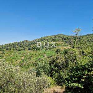 Pelješac, Popova luka, poljoprivredno zemljište 190.000m²