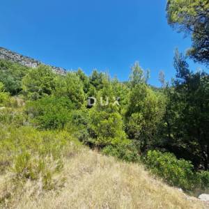 Pelješac, Popova luka, poljoprivredno zemljište 190.000m²