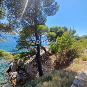 Pelješac, Popova luka, poljoprivredno zemljište 190.000m²