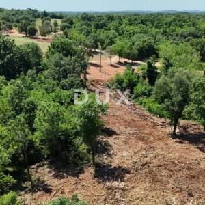 Poreč, okolica, zemljište, 2.066 m², hitna prodaja