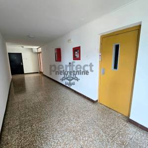 PREČKO-SIBELIUSOVA-3.5 sobni stan, 79m2, II. kat, lift, blizina Jaruna