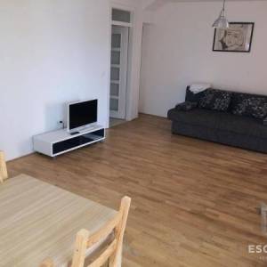PRIVLAKA – Namješten apartman u prizemlju s velikim vrtom, 90 m od mora!!