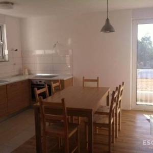 PRIVLAKA – Namješten apartman u prizemlju s velikim vrtom, 90 m od mora!!