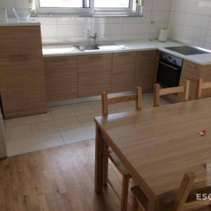 PRIVLAKA – Namješten apartman u prizemlju s velikim vrtom, 90 m od mora!!