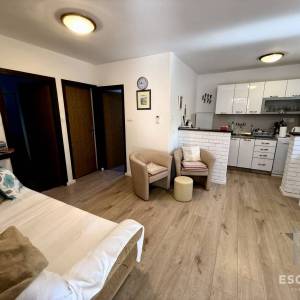 PRIVLAKA – ŠKRAPAVAC, namještena kuća s tri stana, 500 m od mora