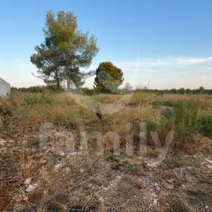 PRODAJA ATRAKTIVNO GRAĐEVINSKO ZEMLJIŠTE 250 M OD MORA