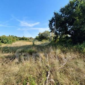PRODAJA GRAĐEVINSKO ZEMLJIŠTE MIRNA LOKACIJA - KRNICA, MARČANA