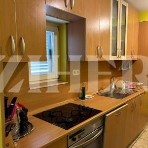 PRODAJA, JASTREBARSKO, KUĆA 300 M2 + 650 M2 OKUĆNICE + 550 M2
