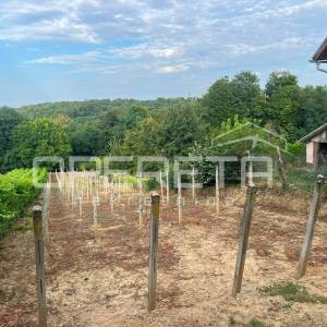 Prodaja, Kuća, Vinogradi Ludbreški, Križevačka ulica, Samostojeća, 48m2