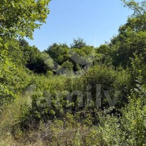 PRODAJA POLJOPRIVREDNIH ZEMLJIŠTA SVETVINČANAT