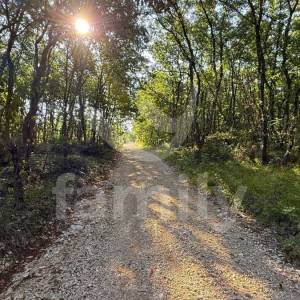 PRODAJA POLJOPRIVREDNO ZEMLJIŠTE ŠUMA VODNJAN