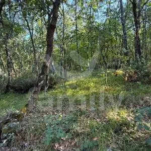 PRODAJA POLJOPRIVREDNO ZEMLJIŠTE ŠUMA VODNJAN