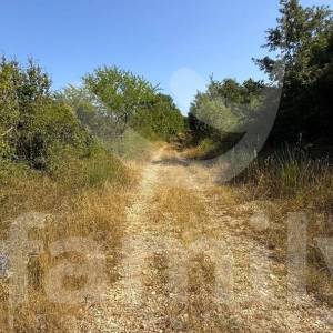 PRODAJA POLJOPRIVREDNOG ZEMLJIŠTA VODNJAN