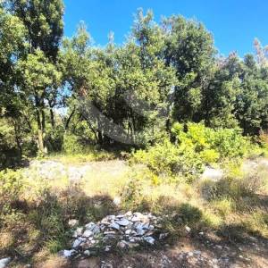 PRODAJA POLJOPRIVREDNOG ZEMLJIŠTA S PREDIVNIM POGLEDOM NA MORE