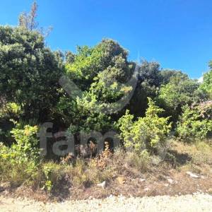 PRODAJA POLJOPRIVREDNOG ZEMLJIŠTA S PREDIVNIM POGLEDOM NA MORE