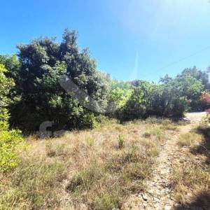 PRODAJA POLJOPRIVREDNOG ZEMLJIŠTA S PREDIVNIM POGLEDOM NA MORE