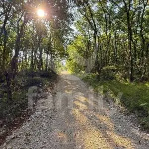 PRODAJA PROSTRANO POLJOPRIVREDNO ZEMLJIŠTE ŠUMA VODNJAN