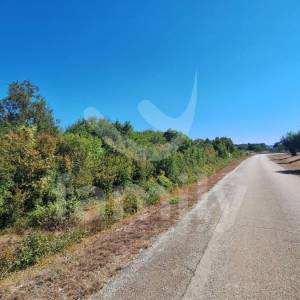 PRODAJA PROSTRANO POLJOPRIVREDNO ZEMLJIŠTE ŠIJANA
