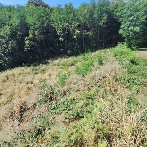 Prodaja, Stenjevec, građevinsko zemljište 652m2 s idejnim projektom