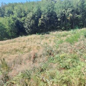 Prodaja, Stenjevec, građevinsko zemljište 652m2 s idejnim projektom
