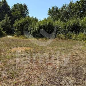 PRODAJA VIŠE POLJOPRIVREDNIH ZEMLJIŠTA VODNJAN