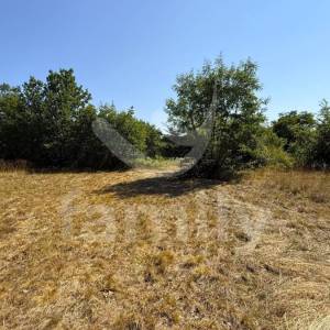 PRODAJA VIŠE POLJOPRIVREDNIH ZEMLJIŠTA VODNJAN