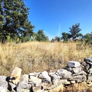 PRODAJA PROSTRANO ZEMLJIŠTE SA KUĆOM NA MIRNOJ LOKACIJI