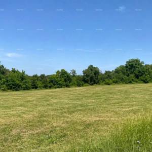 Tar, prodaje se građevinsko zemljište površine 1.539 m²