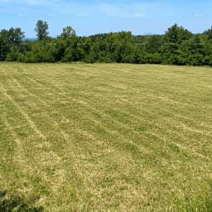 Tar, prodaje se građevinsko zemljište površine 1.539 m²