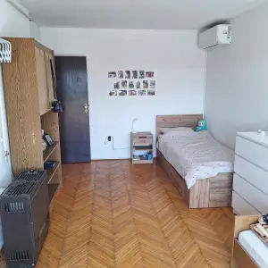 Tražim cimericu