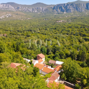 Tribalj kuća