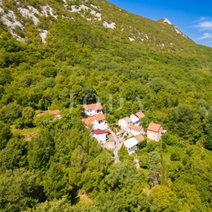 Tribalj kuća