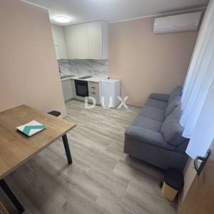 Velika Horvatska, Desinić, kuća, poslovni prostor, 160 m2, okućnica 1.415 m² 