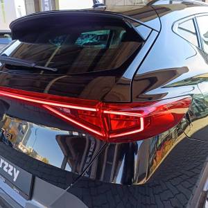 Cupra Formentor 2.0 TDI evo DSG 4Drive - 3 godine jamstva