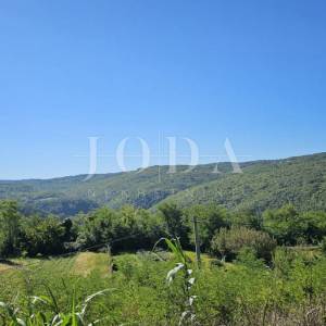 Građevinsko zemljište 1965m2,MOTOVUN okolica