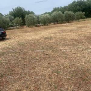GRAĐEVINSKO ZEMLJIŠTE BLIZU BRTONIGLE – 2.470 m²