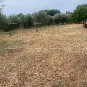 GRAĐEVINSKO ZEMLJIŠTE BLIZU BRTONIGLE – 2.470 m²